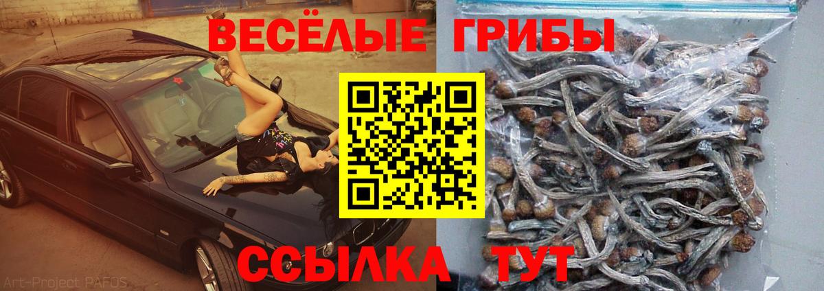 Псилоцибиновые грибы мухоморы  Вход с VPN  Тулун 